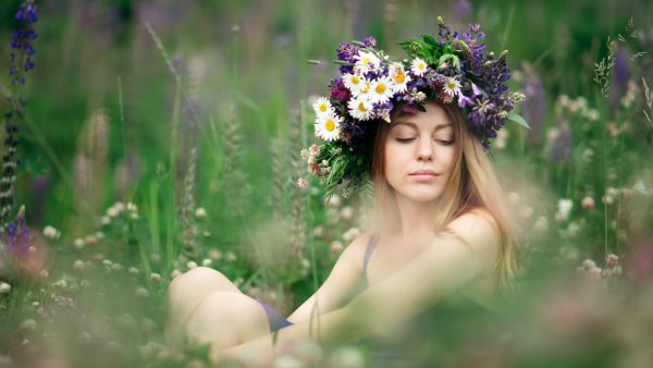 Венок из полевых цветов