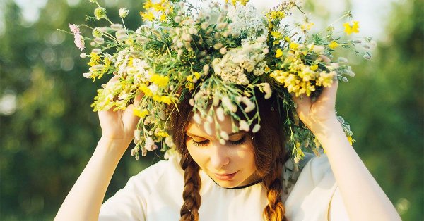 Венок из полевых трав