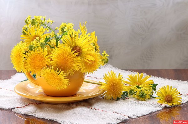 Утро лето цветы