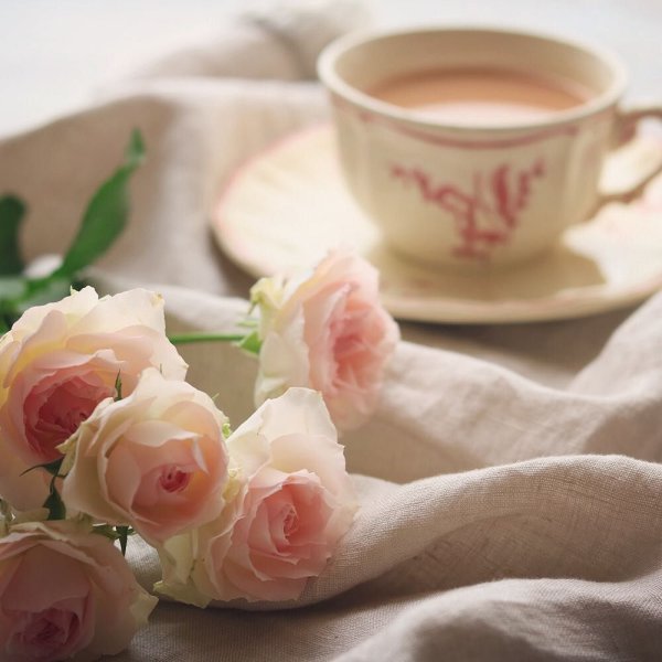 Нежное утро