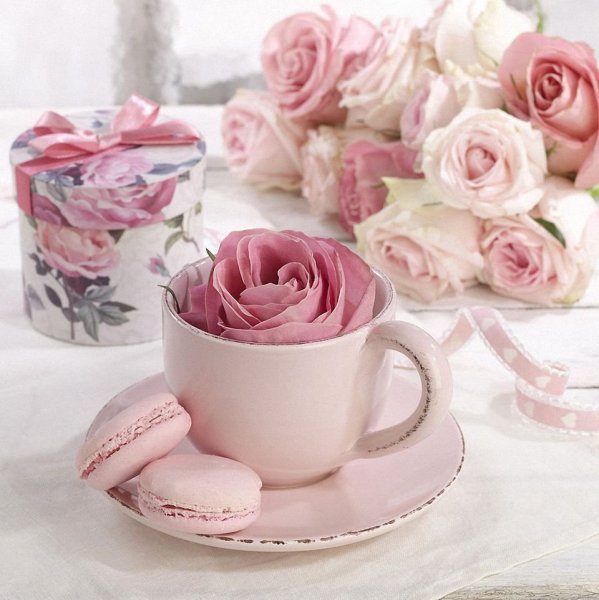 Нежные цветы в чашке