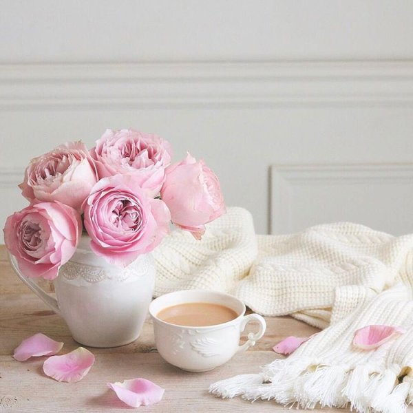 Нежное утро