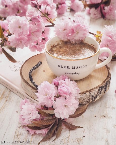 Нежное утро