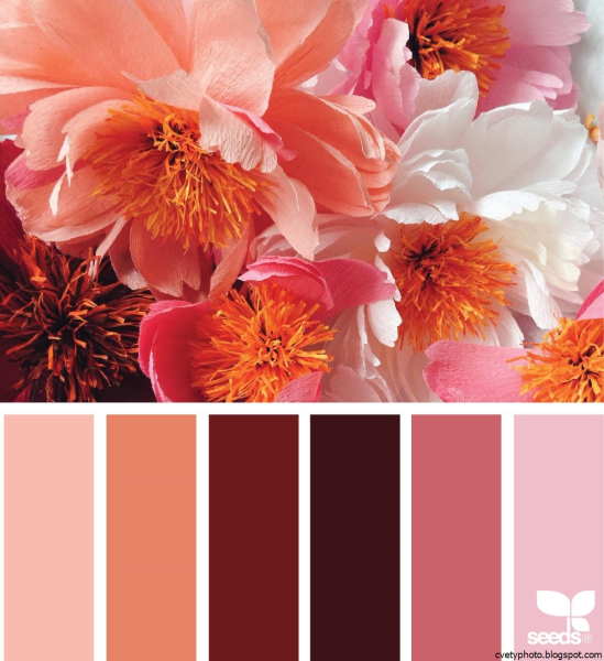 Цветовые Палитры romanuke