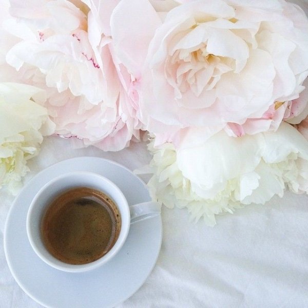 Нежный кофе пионы