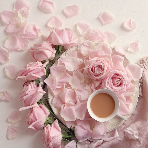 Доброе утро в розовом цвете