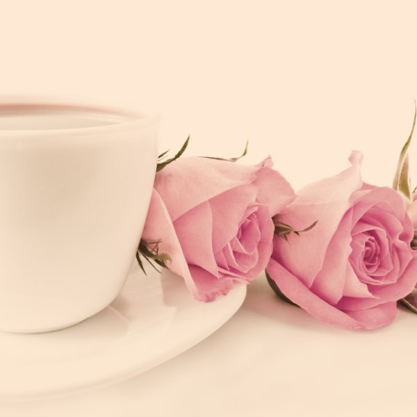 Доброе утро нежные розы