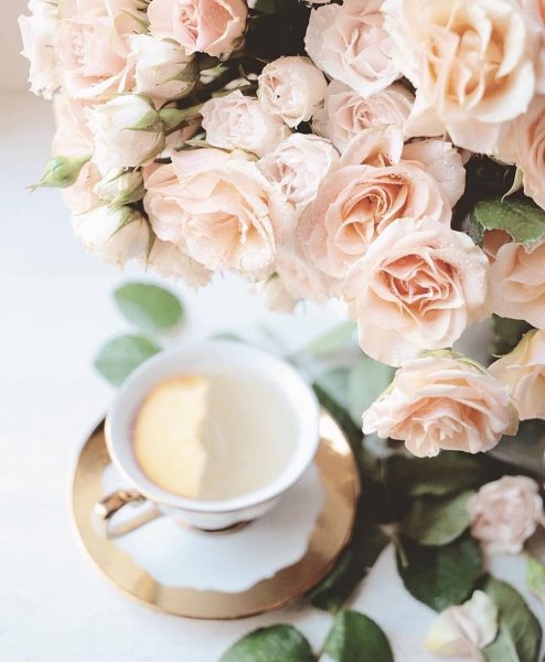 Цветы для инстаграма