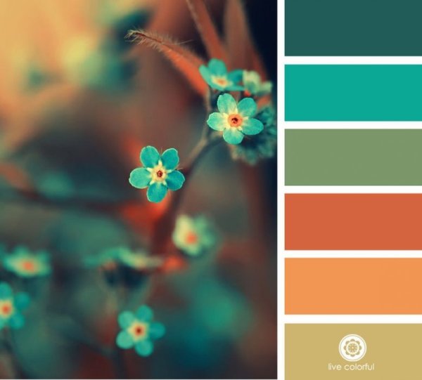 Цветовые Палитры romanuke