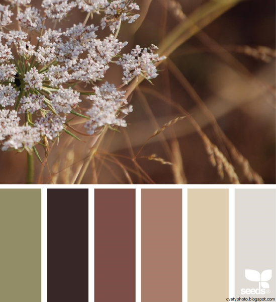 Романюк палитра