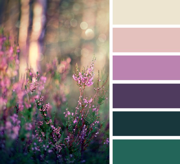 Красивые контрастные сочетания цветов