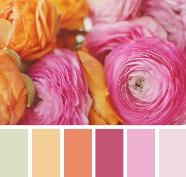 Палитра Seeds терракотовый