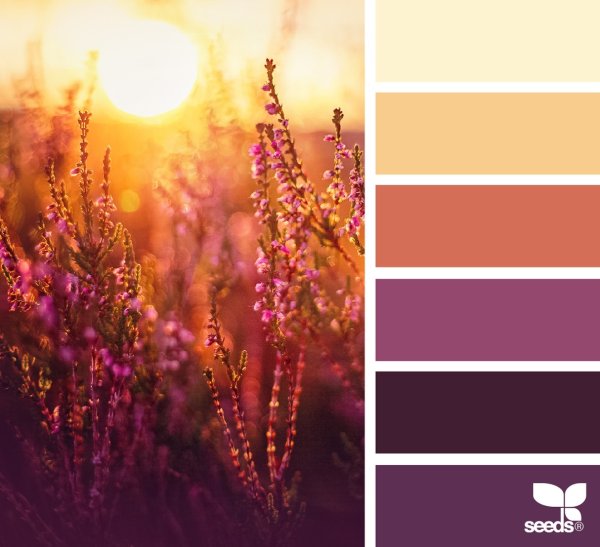 Цветосочетание палитра