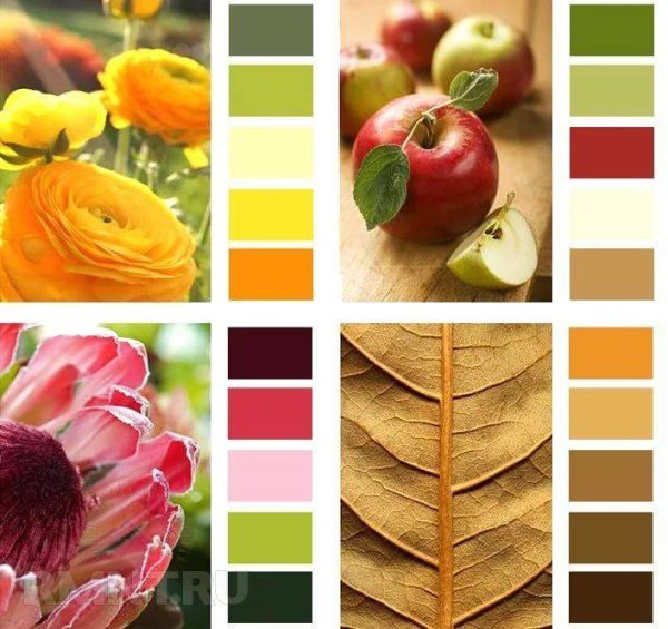 Колор Романюк палитра