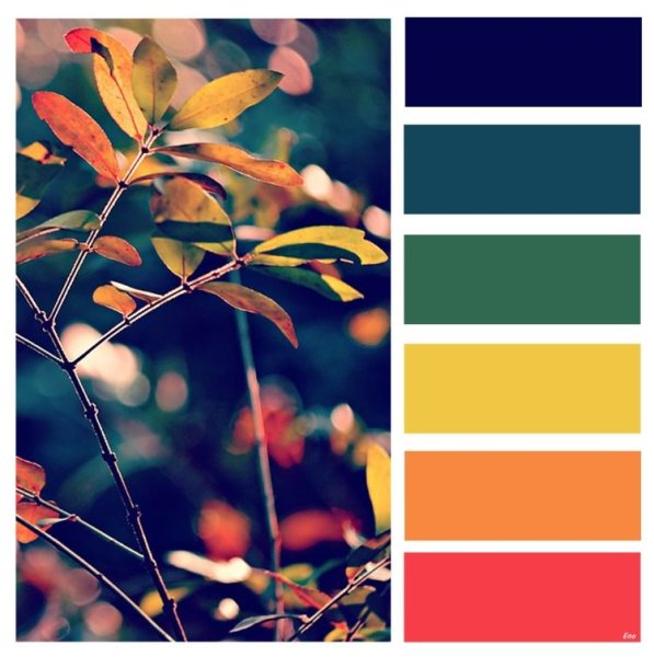 Колор Романюк палитра