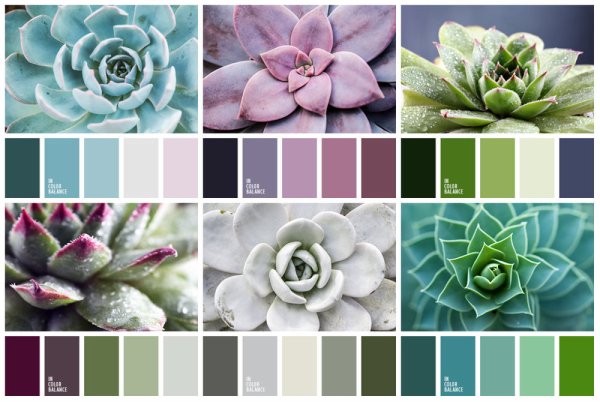 Колор Романюк палитра