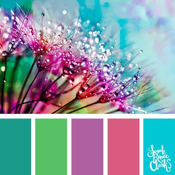 Цветовой круг сочетание в колористике для интерьера