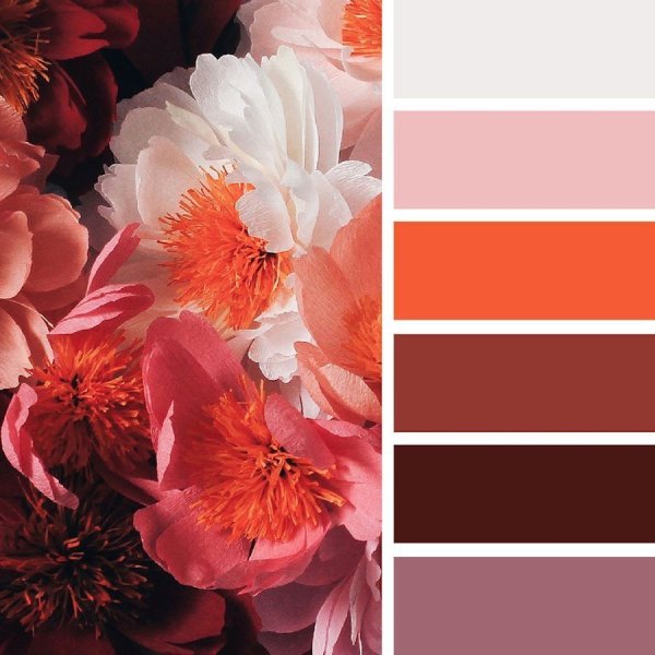 Колор палетт