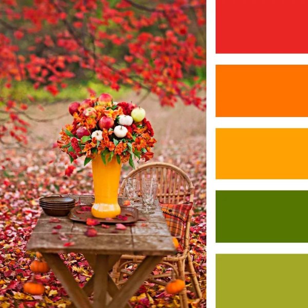 Палитра сочетания цветов