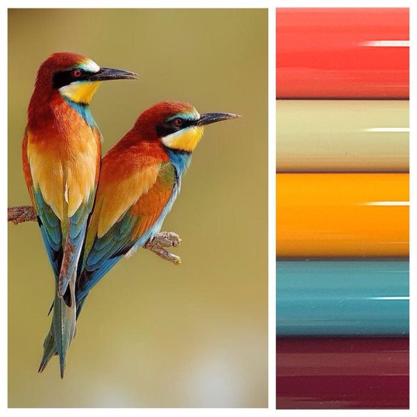 Цветовой круг Иоханнеса Иттена