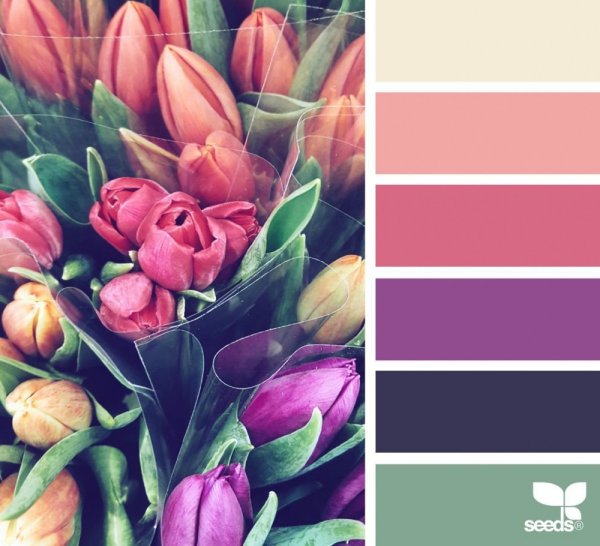 Сочетание цветов