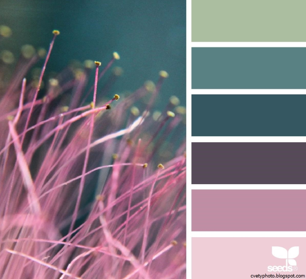 Колор Романюк палитра