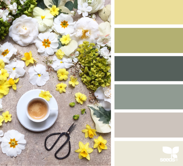 Сочетание ярких цветов