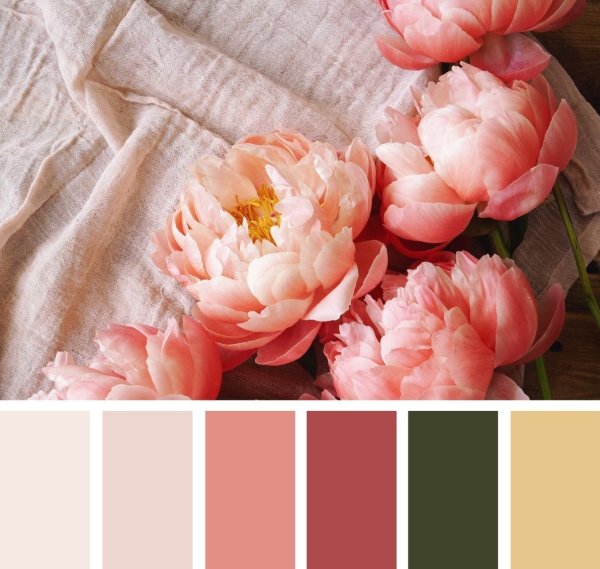 Цветовая палитра Color.romanuke