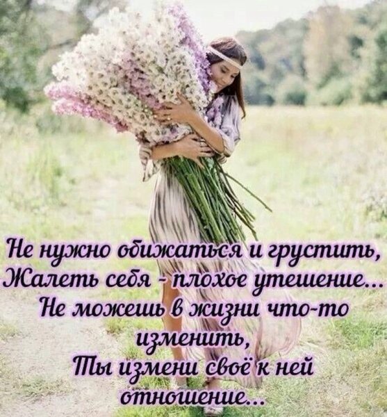 Цитаты про цветы