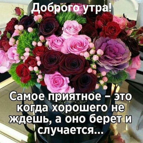Дробрае утра сбелыби розами