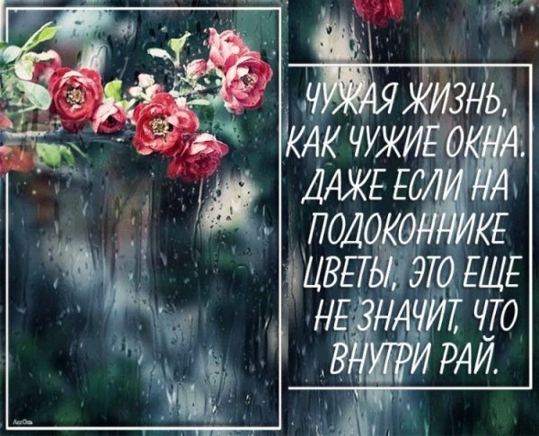 Цветы на аву