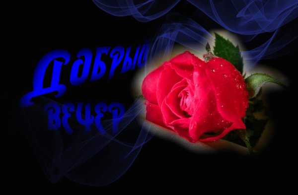 Доброй ночи мерцающие цветы