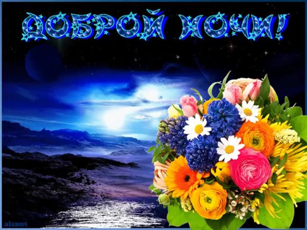 Спокойной вам ночи приятного сна