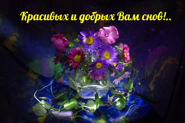 Цветы мерцающие в ночи