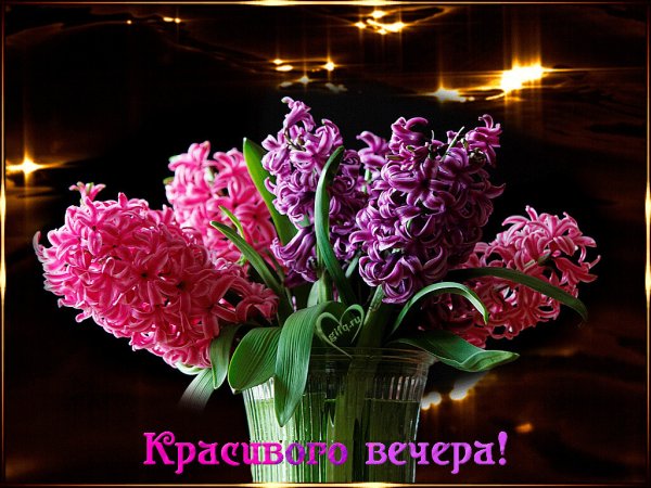 Натюрморт в фиолетовых тонах