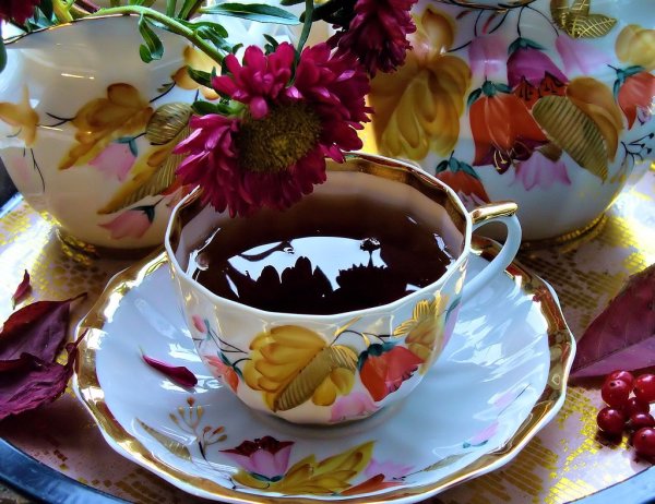 Осенние цветы и чай