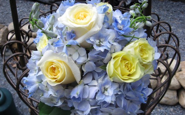 Красивый букет цветов