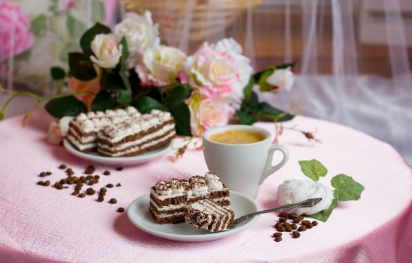 Круассан и тюльпан