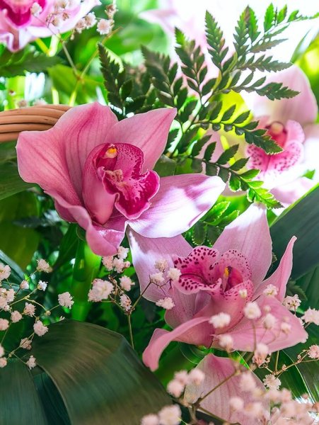 Чашка кофе с орхидеей