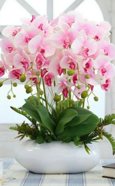 Доброе утро белые орхидеи