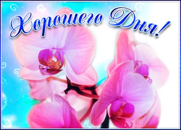 Доброе утро колокольчики