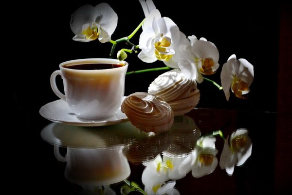 С добрым утром гладиолусы