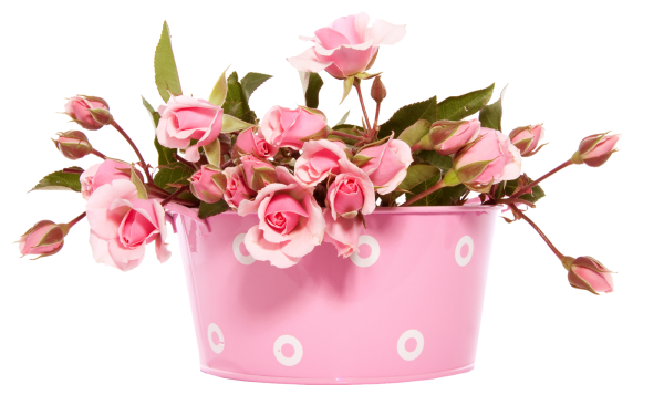 Открытки good morning с цветами