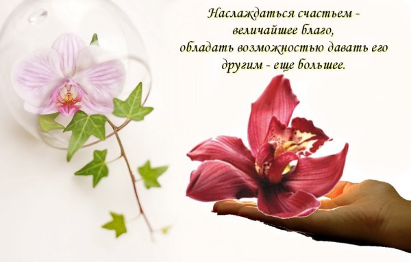 Доброе утро с белыми лилиями