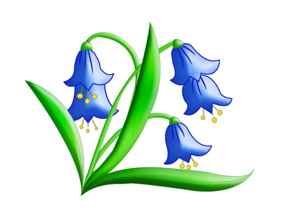 Подснежники, Ландыши, примулы