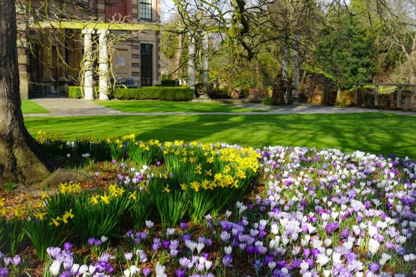 Весна в саду