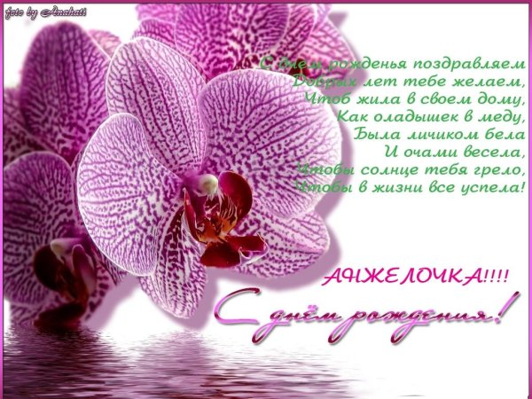 Поздравления с днём рождения с орхидеями