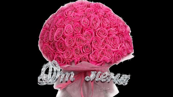 Цветы для Анжелики