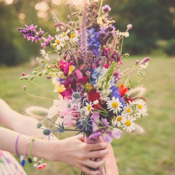 Букет из астр и ромашек