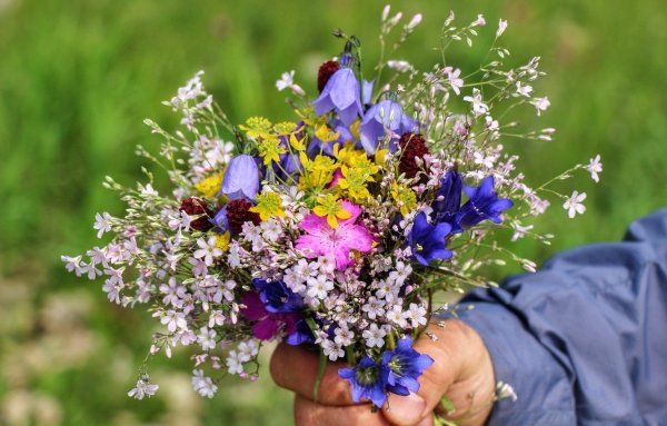 Нежный букет полевых цветов